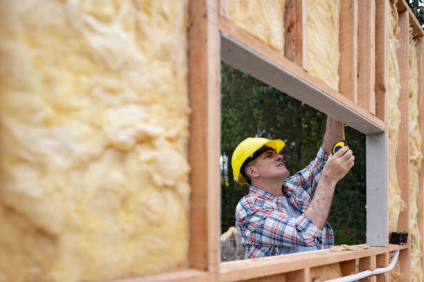 Best Wall Insulation Installation  in Swannanoa, NC